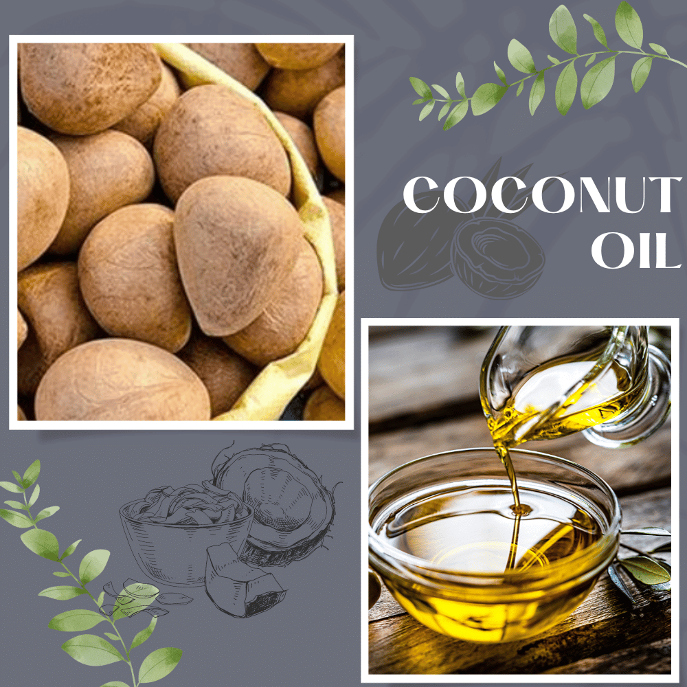 Coconut Oil Banner