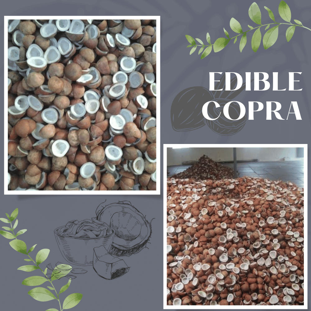 Edible Copra Product